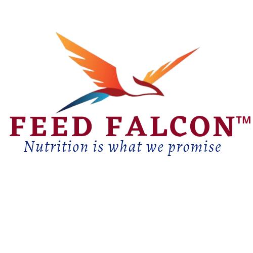 Feed Falcon