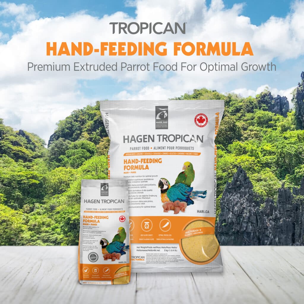 Hagen Tropican Handfeed Formula