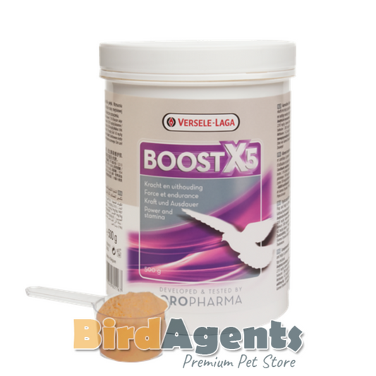 Boost X5 Powder Oropharma