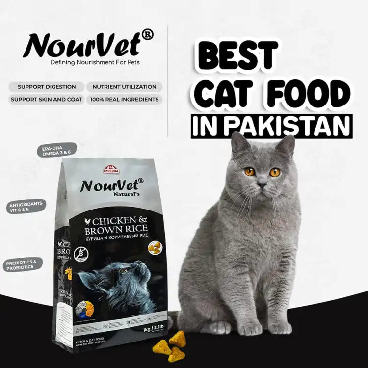 Nourvet Natural Cat Food - Chicken & Brown Rice