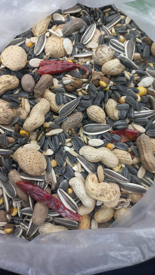 Special Seeds Mix For Parrots 900g Pack