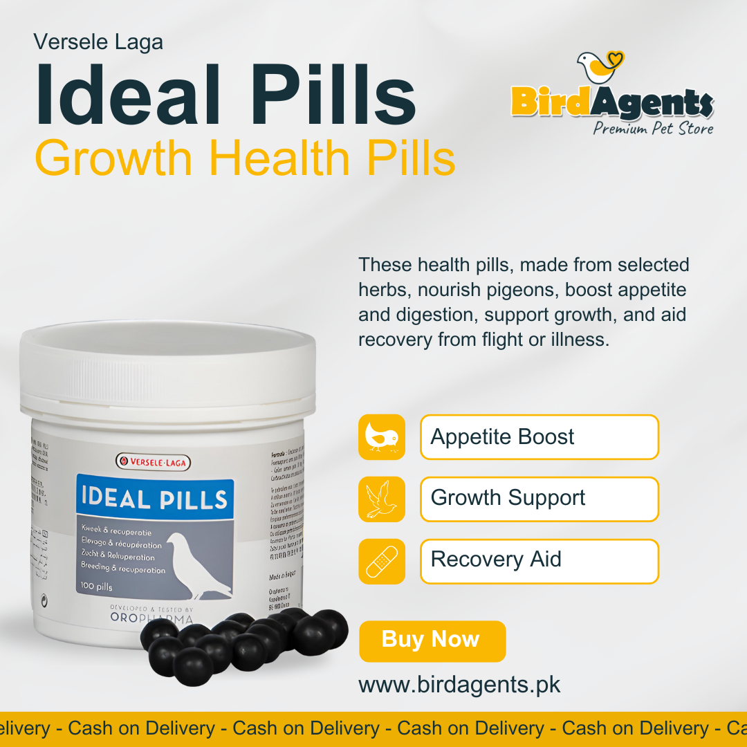 Ideal Pills