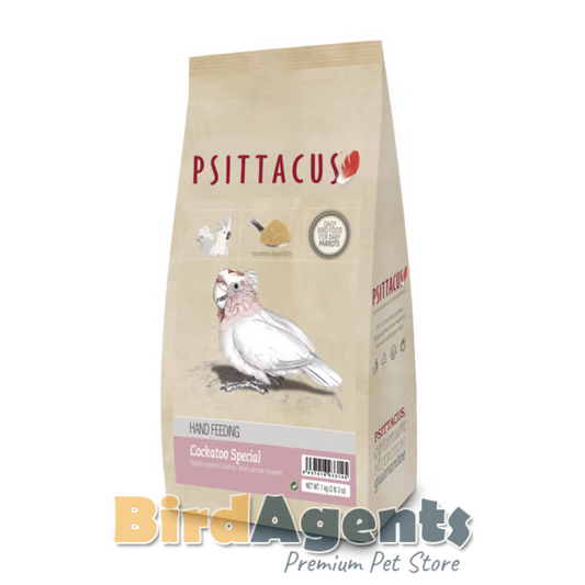 Psittacus Cockatoo Special Hand Feeding