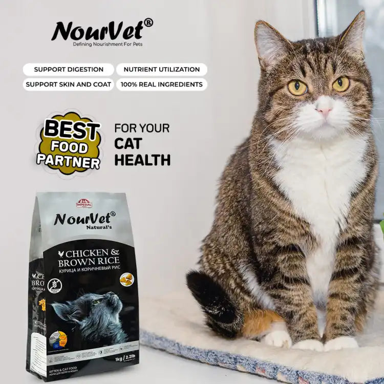 Nourvet Cat Food 1 KG