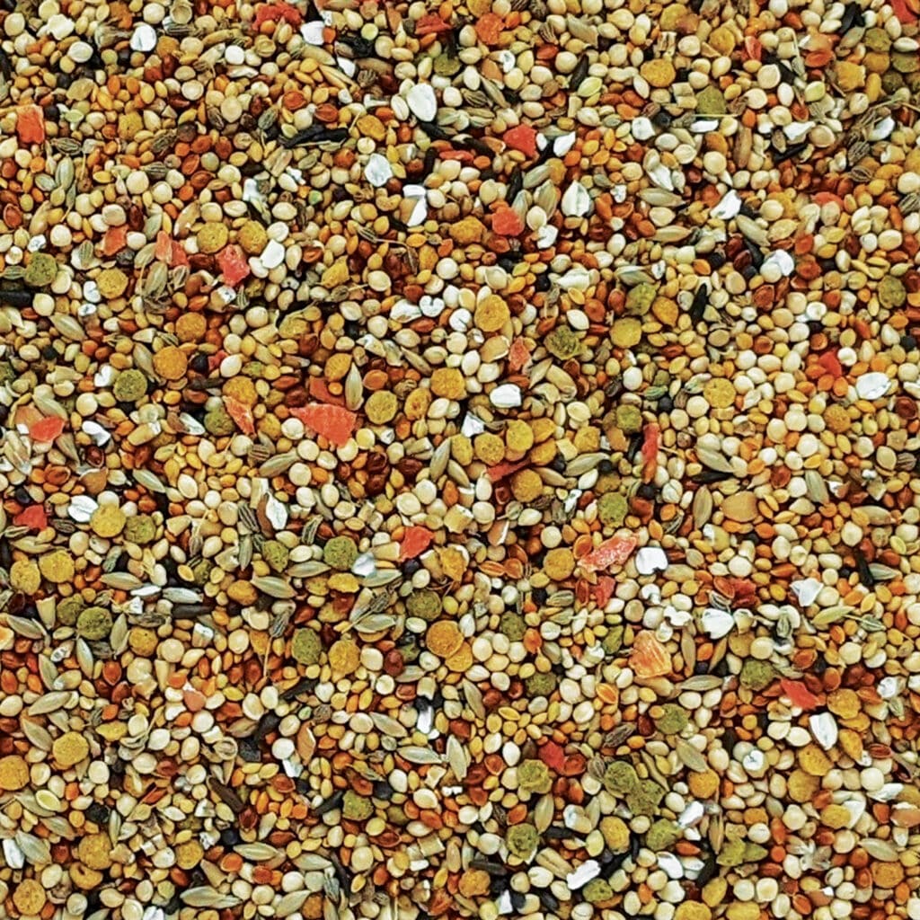 Hagen Gourmet Finch - Premium Seed Blend for Finches