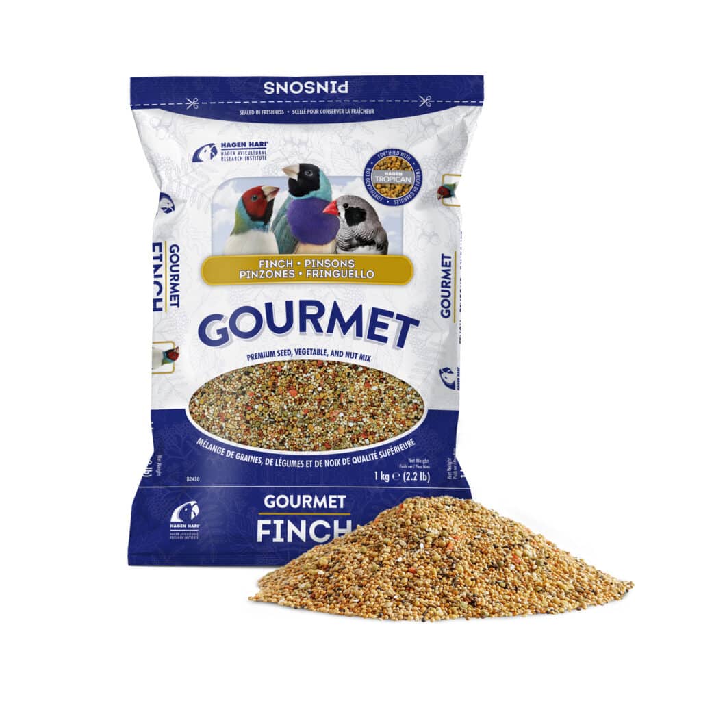 Hagen Gourmet Finch - Premium Seed Blend for Finches