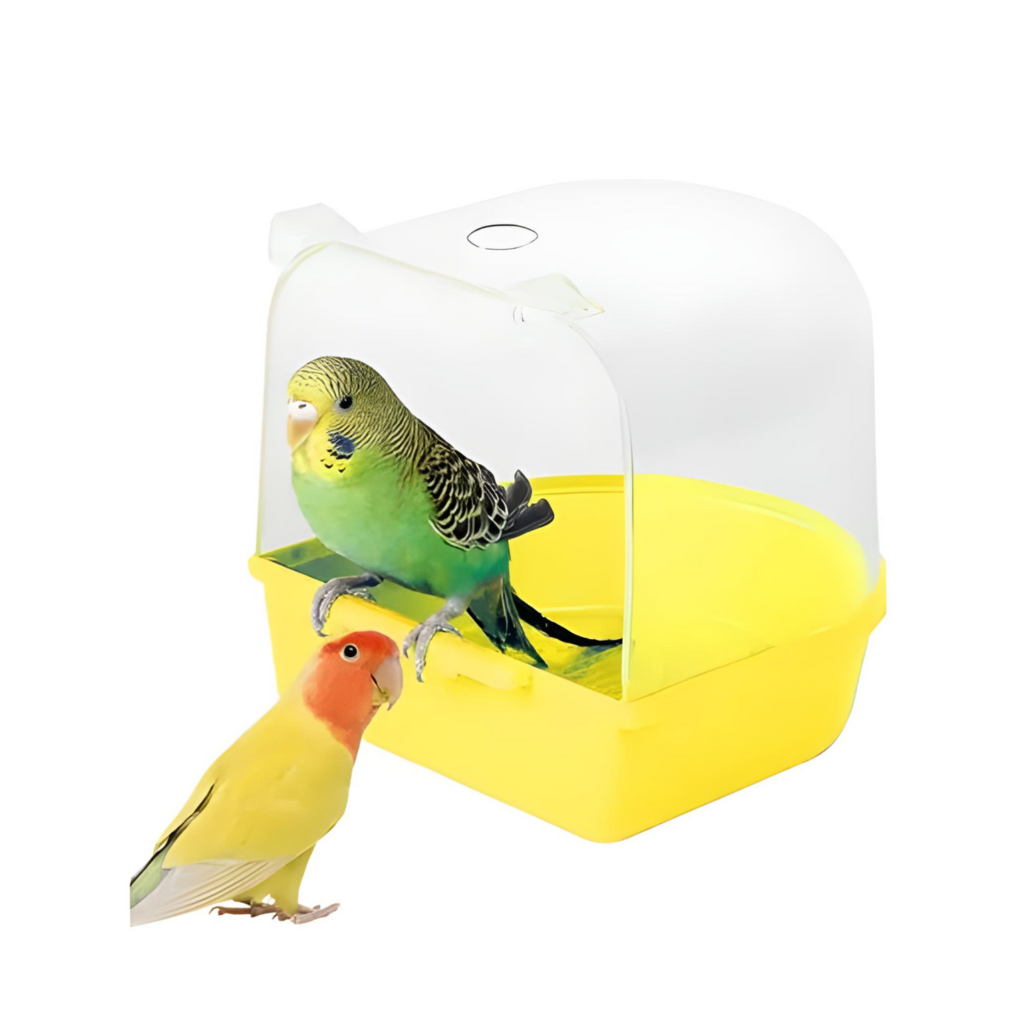 Bird Bath Tub - Provide Essential Care & Fun for Birds