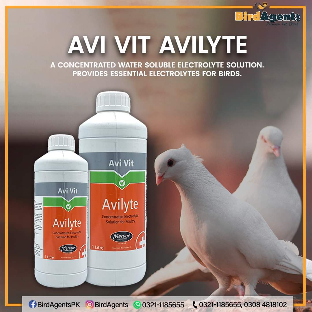 AVI VIT AVILYTE (Electrolyte)