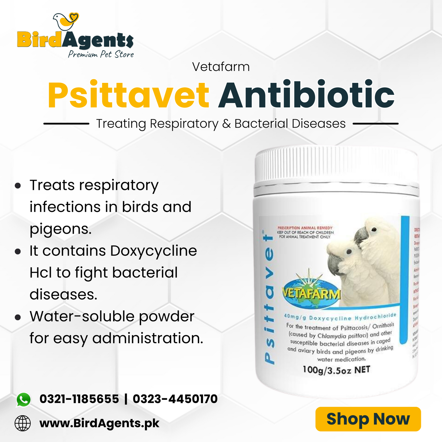 Psittavet Antibiotic - Treatment for Respiratory infections