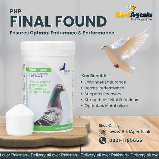 PHP Final Found - Ensures Optimal Endurance & Performance