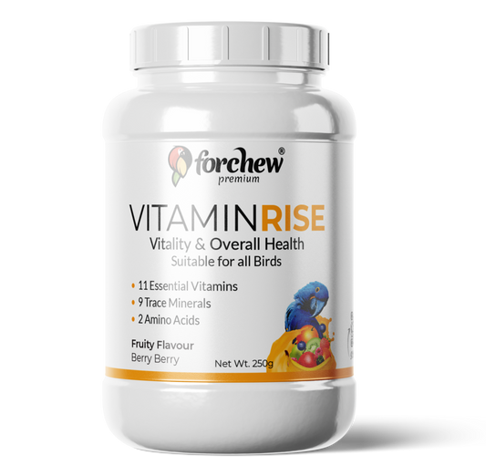 Vitamin Rise - Multivitamin Supplement
