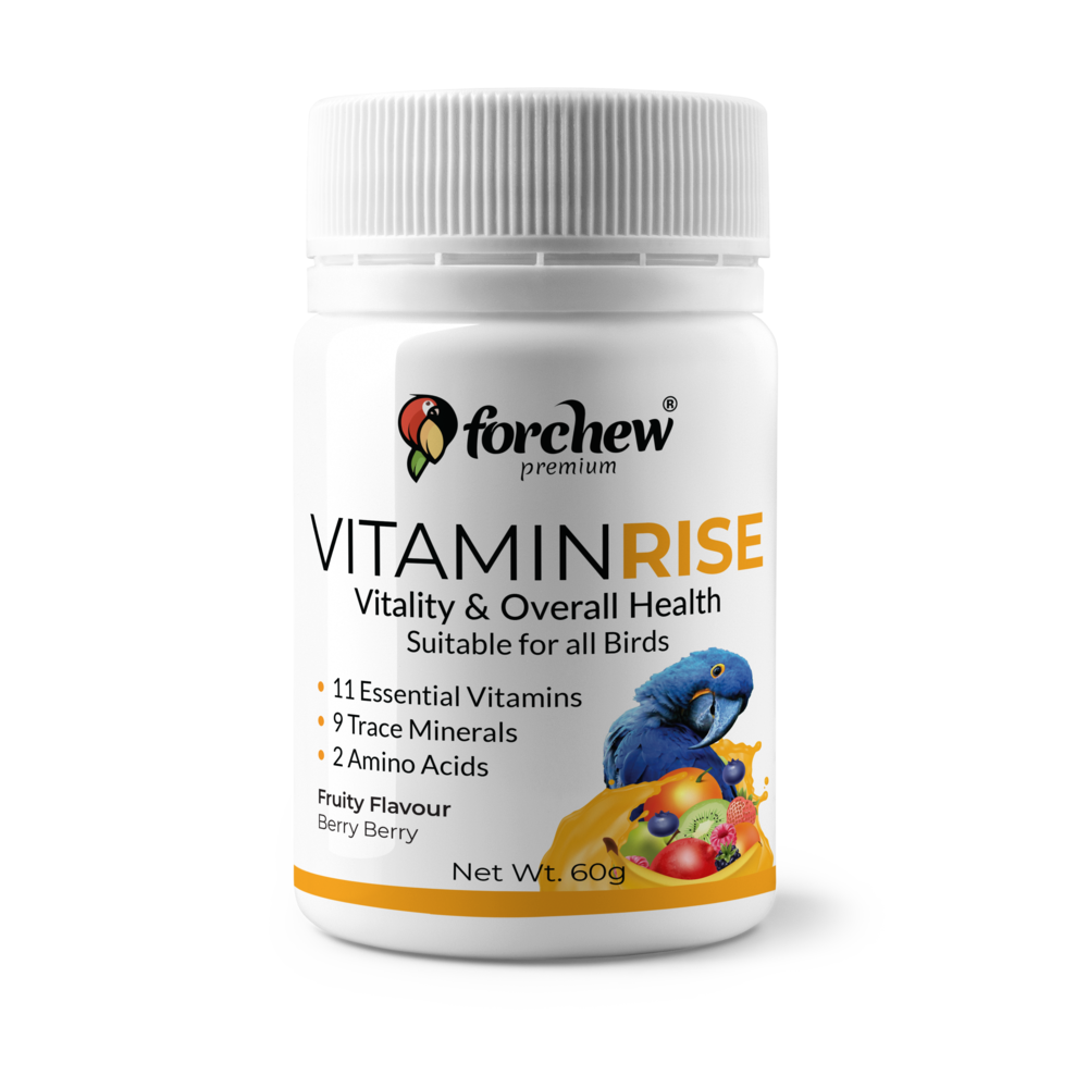 Vitamin Rise - Multivitamin Supplement