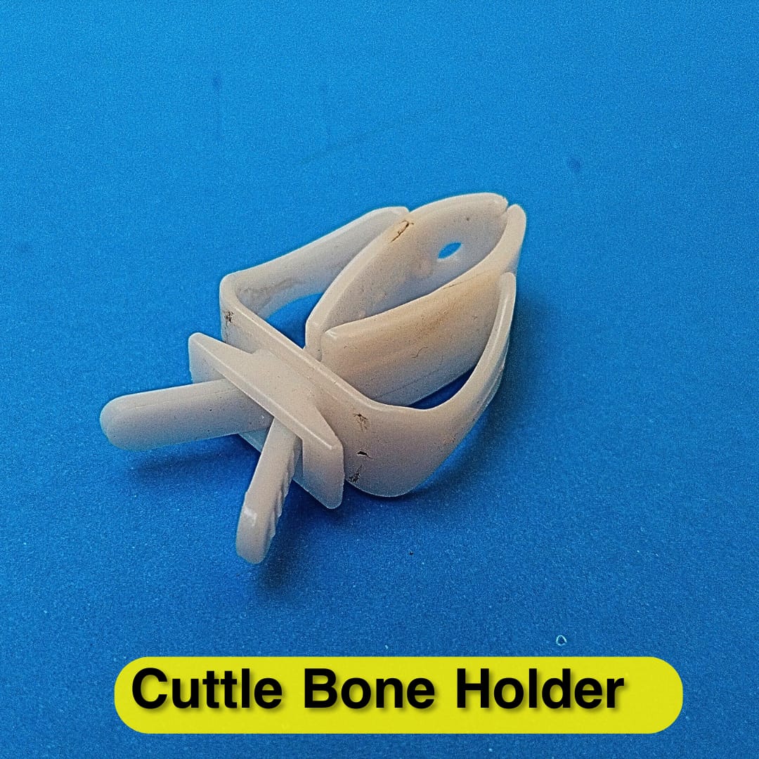 Cuttle Bone Clip - Shark Grip