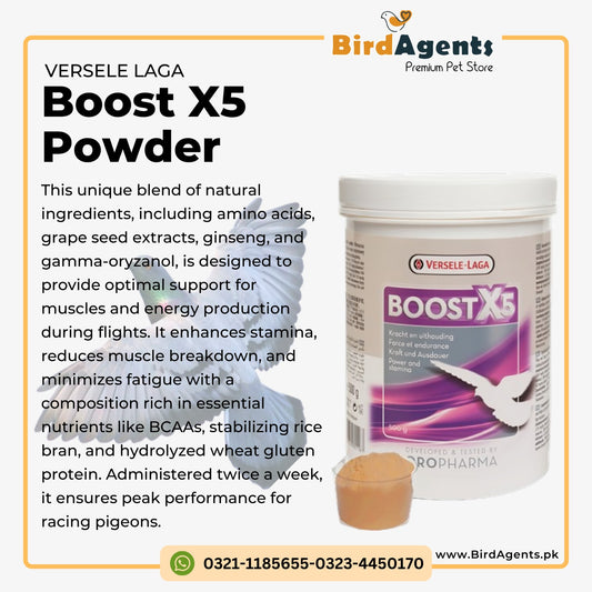 Boost X5 Powder Oropharma