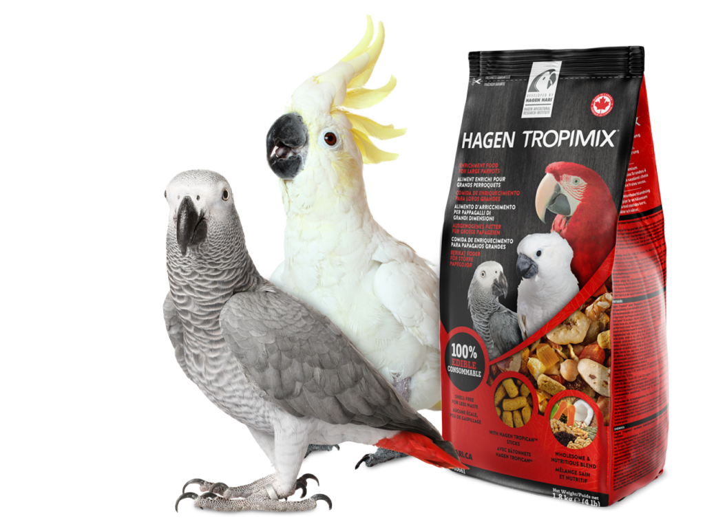 Premium Enrichment Food for Large Parrots