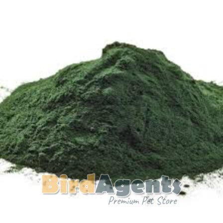 Quiko Spirulina – Protein-Rich Single Feed for Ornamental Birds
