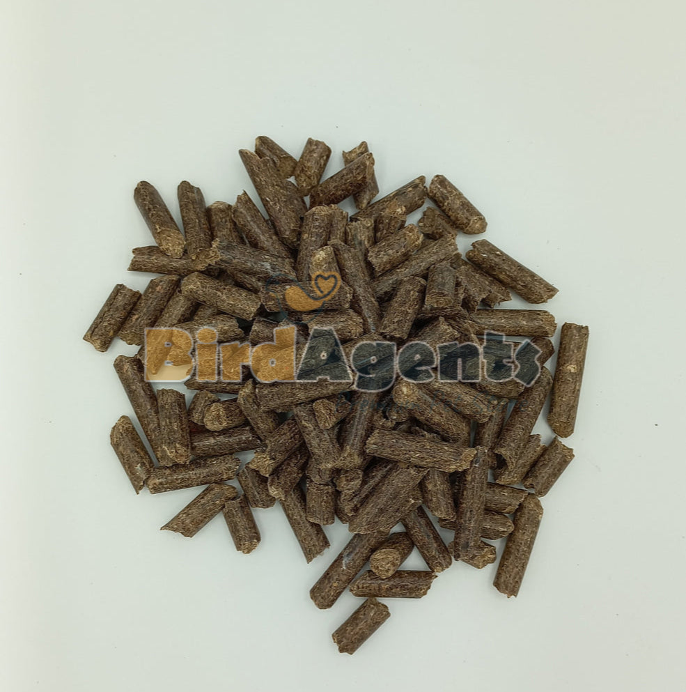 Bedding Pellets Provide Comfortable Environment BirdAgents.pk