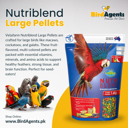 Nutriblend Large Pellets – Complete Nutritional Diet for Large Parrots