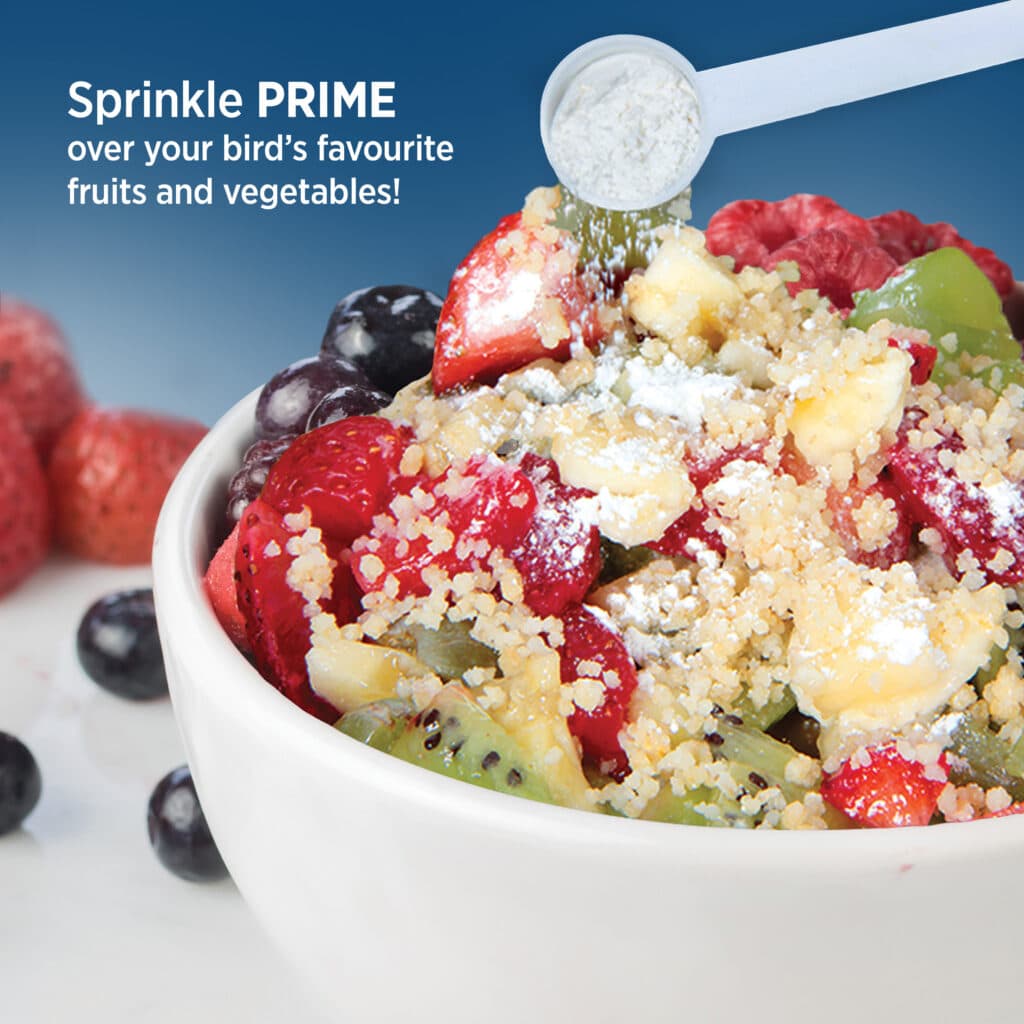 Prime - Multivitamin