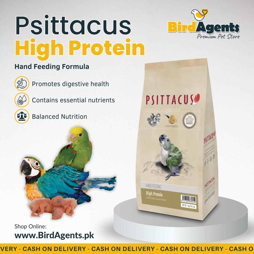 Psittacus High Protein - Hand Feeding Formula