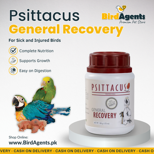 Psittacus General Recovery - For Sick or injured Birds