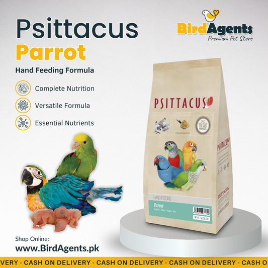 Psittacus Parrot - Hand Feeding Formula
