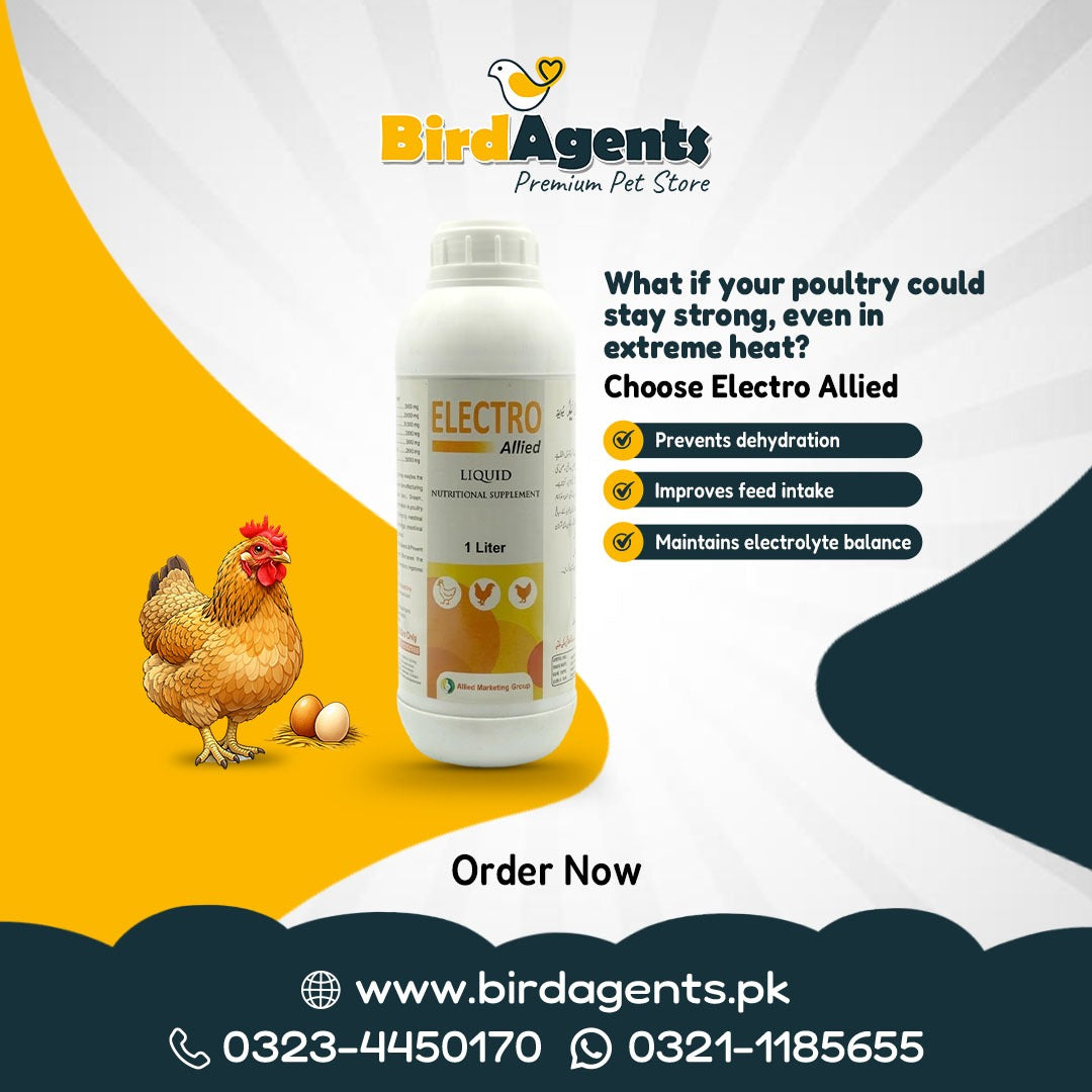Electro Allied - Liquid Electrolyte Supplement for birds