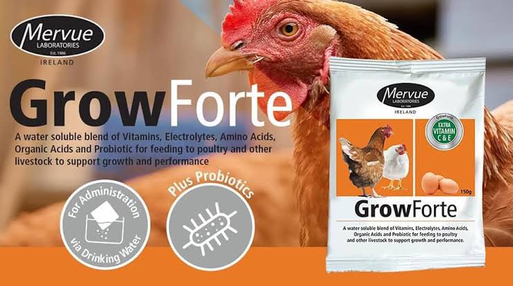 Grow Forte – Vitamins, Electrolyte & Amino Acid Supplement