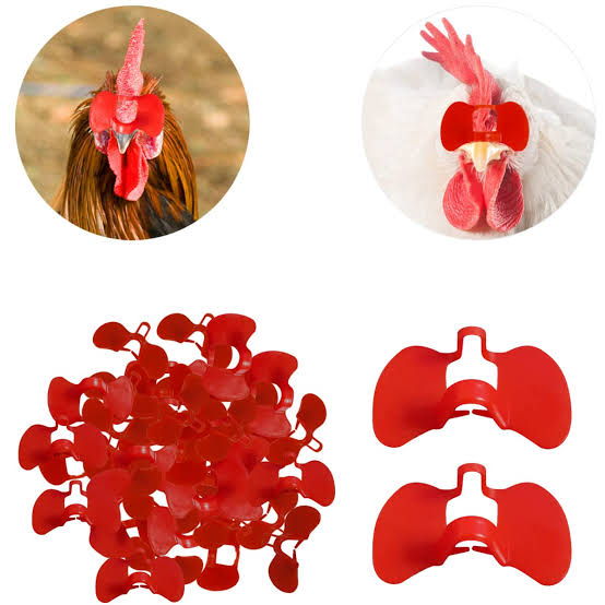 Chicken Eye Blinder Glasses - Pinless Peepers