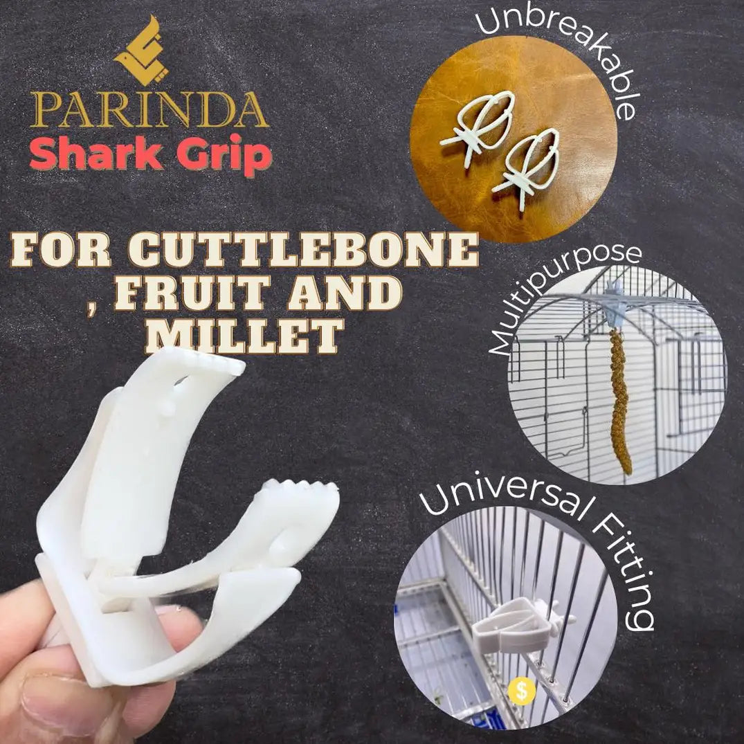 Cuttle Bone Clip - Shark Grip