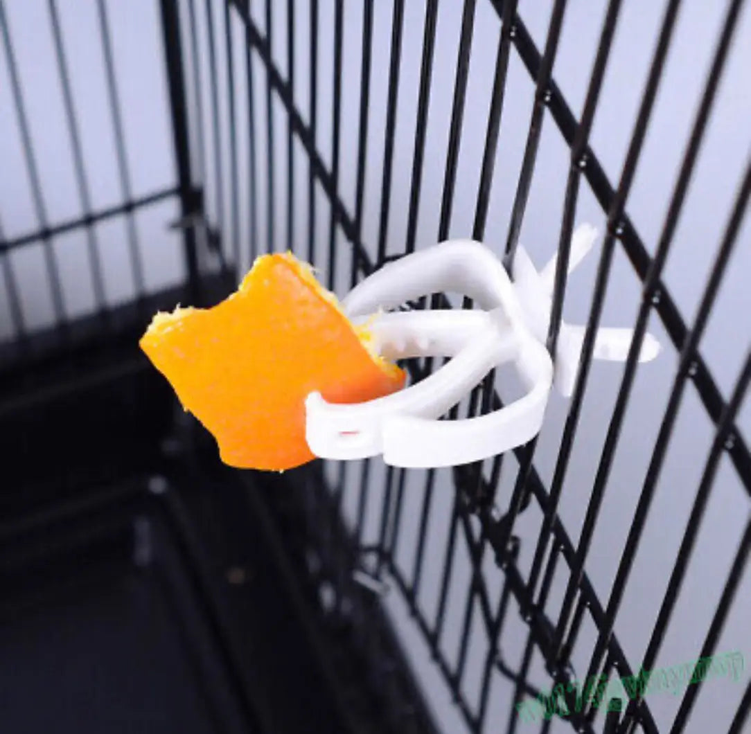 Cuttle Bone Clip - Shark Grip