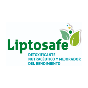 Liptosafe L - Support Liver Function & Kidney Health