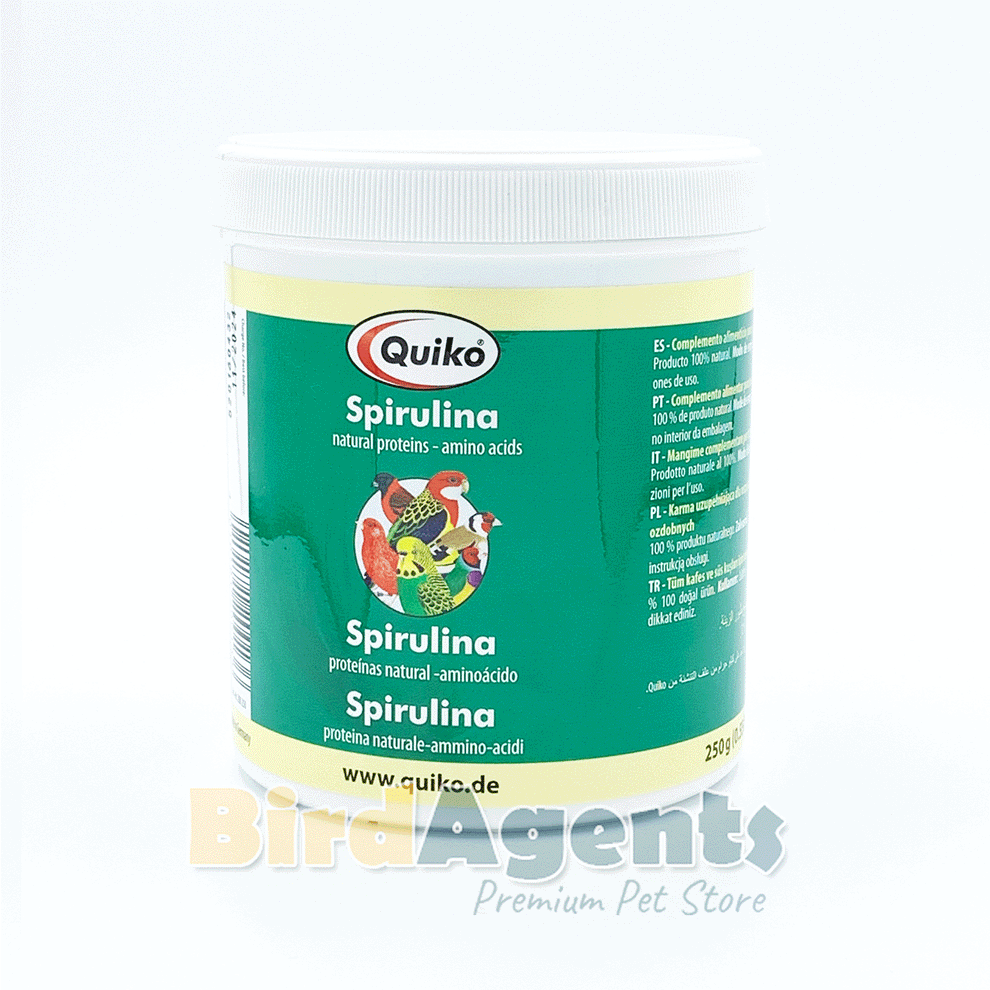 Quiko Spirulina – Protein-Rich Single Feed for Ornamental Birds