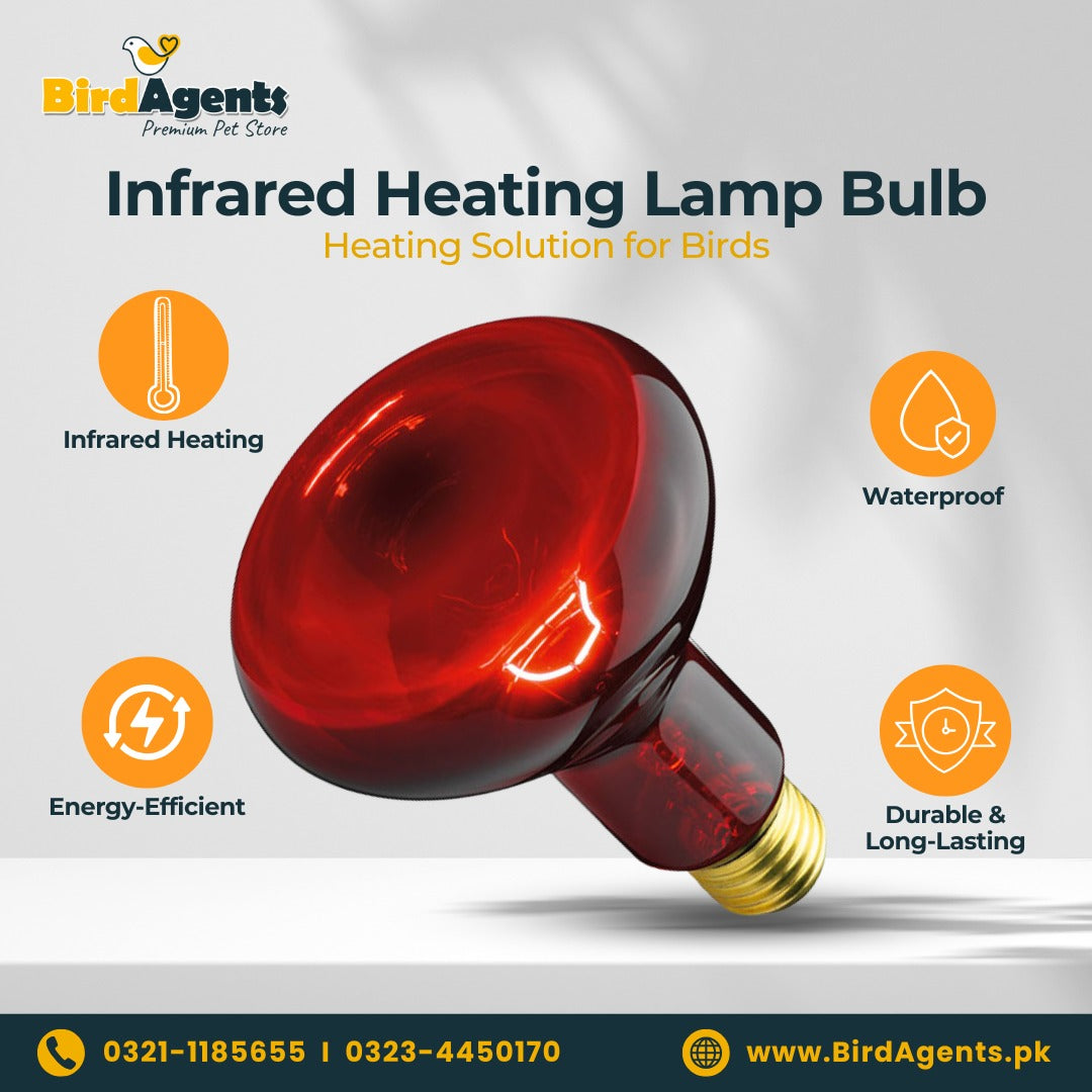Infrared Heating Lamp Bulb - Heating Solution for Birds