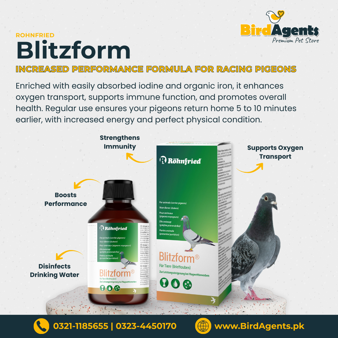 Blitzform – Increased Performance Formula for Racing Pigeons