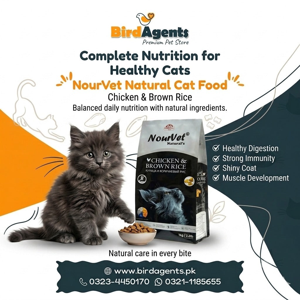 Nourvet Natural Cat Food - Chicken & Brown Rice