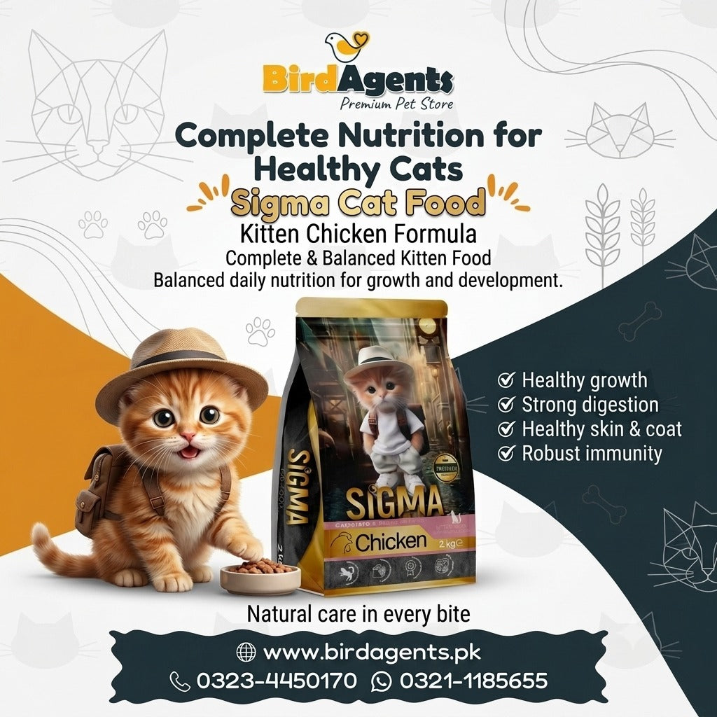 SIGMA Kitten Food with Chicken