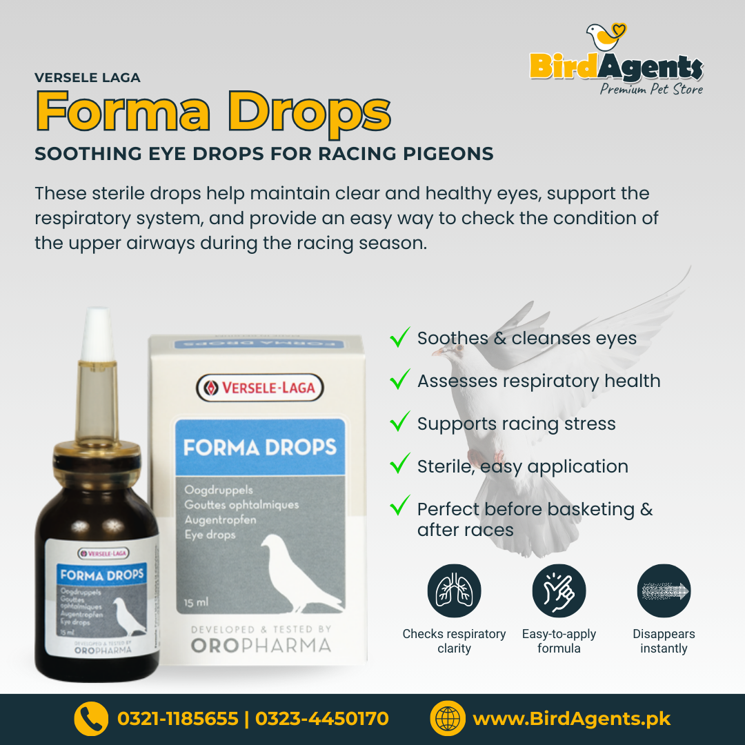 Forma Drops – Soothing Eye Drops for Racing Pigeons