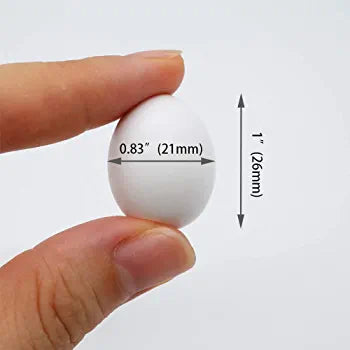 Dummy Eggs For Love Birds - Encourage Nesting Behaviors