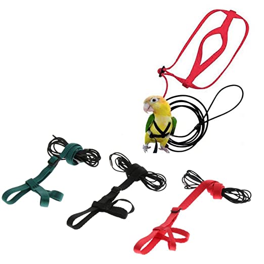 Conure & Cocketeil Harness With Leash