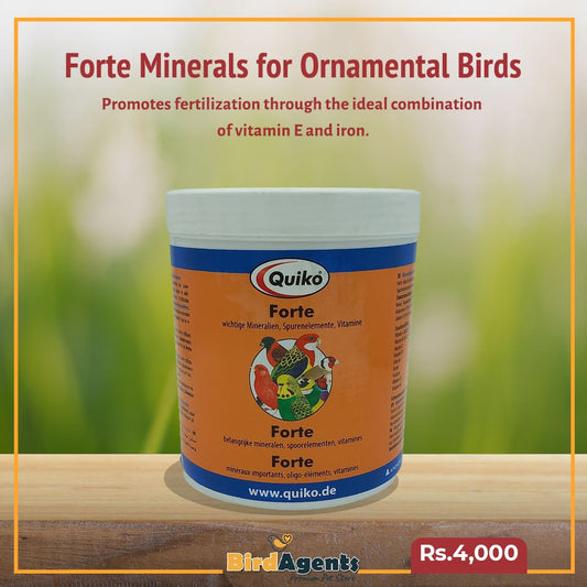 Quiko Forte Minerals for Ornamental Birds 500g
