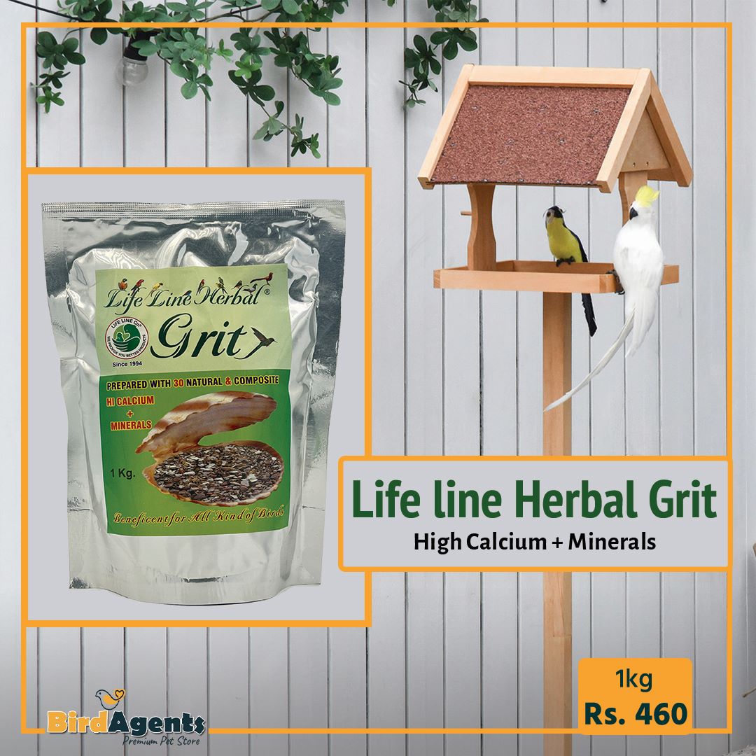 Life line Herbal Grit - Blend of Calcium & Minerals