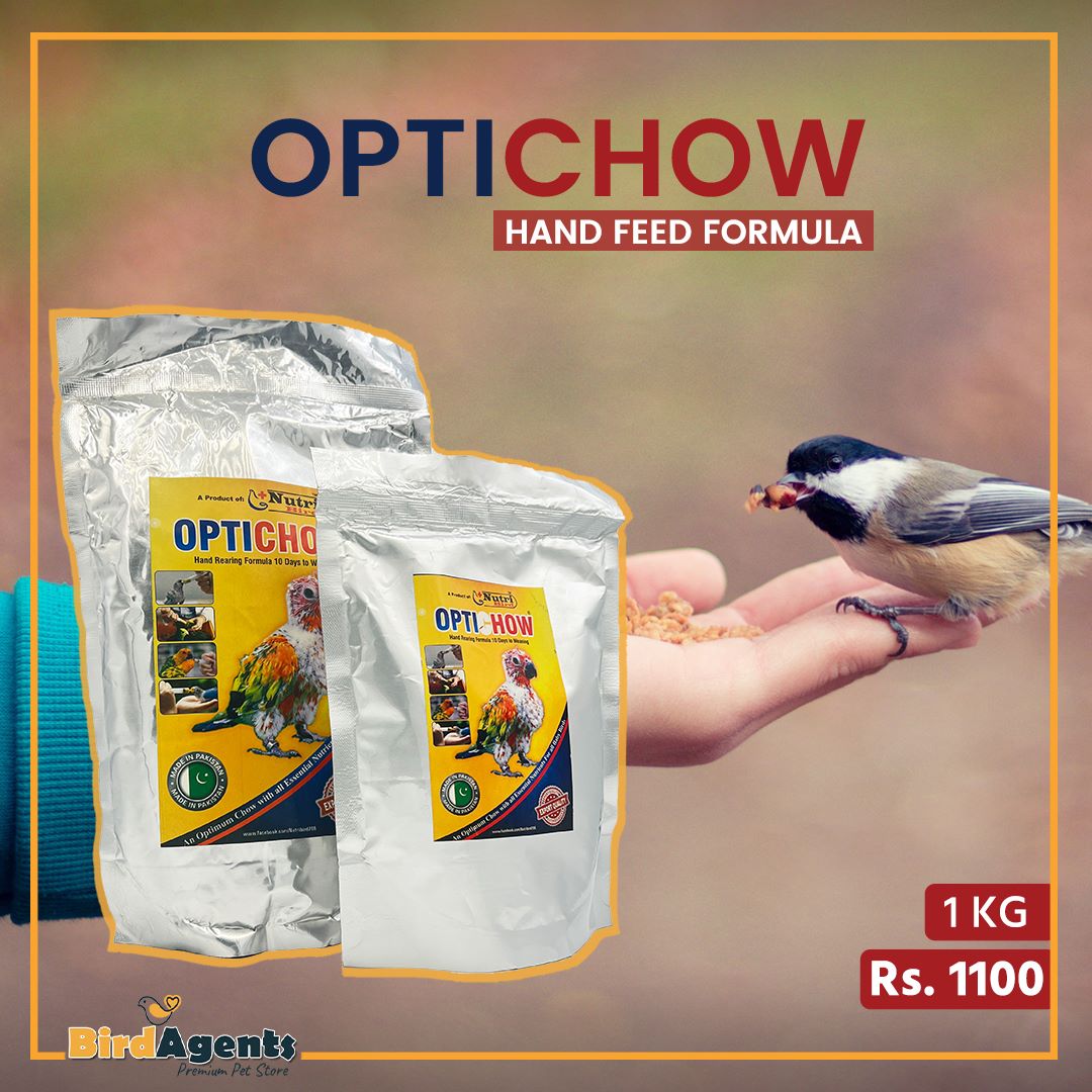Optichow Hand Feeding Chow – Organic Baby Bird Formula