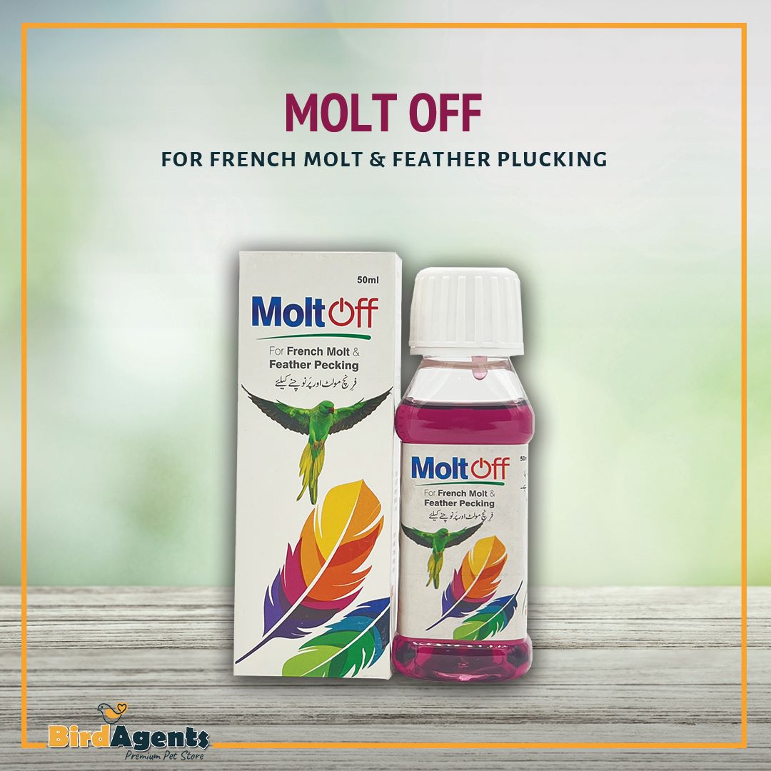 Molt off - For French Molt & Feather Plucking