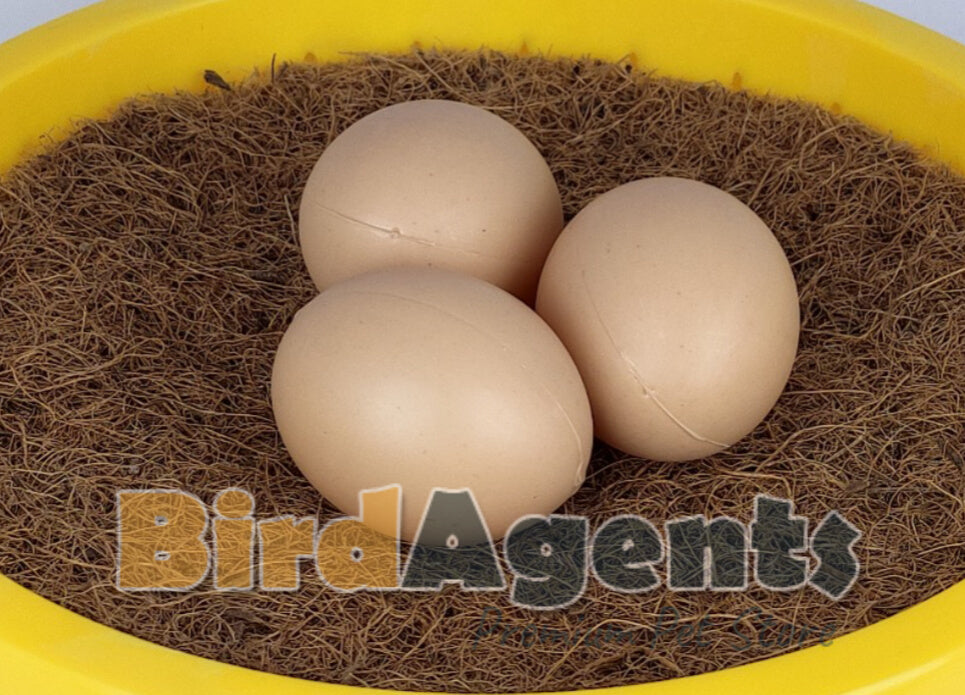 Dummy Eggs Chicken - Manage Hen's Laying Habits
