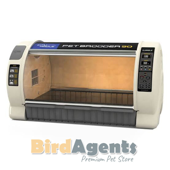 Rcom ICU Brooder - Versatile and Advanced Solution Caring for Birds