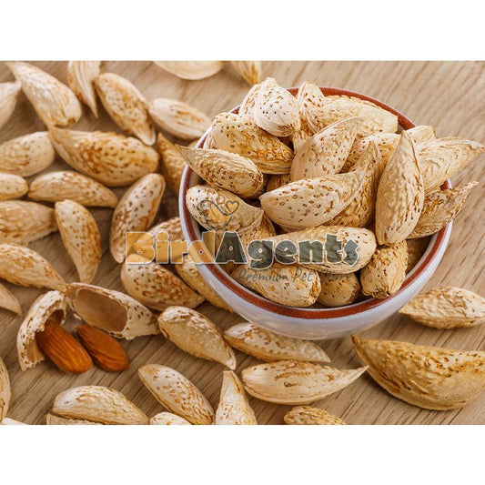 Almond with shell for birds food 450 Grm