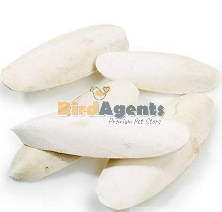 Cuttlefish Bone Pieces – Natural Calcium Source for Birds