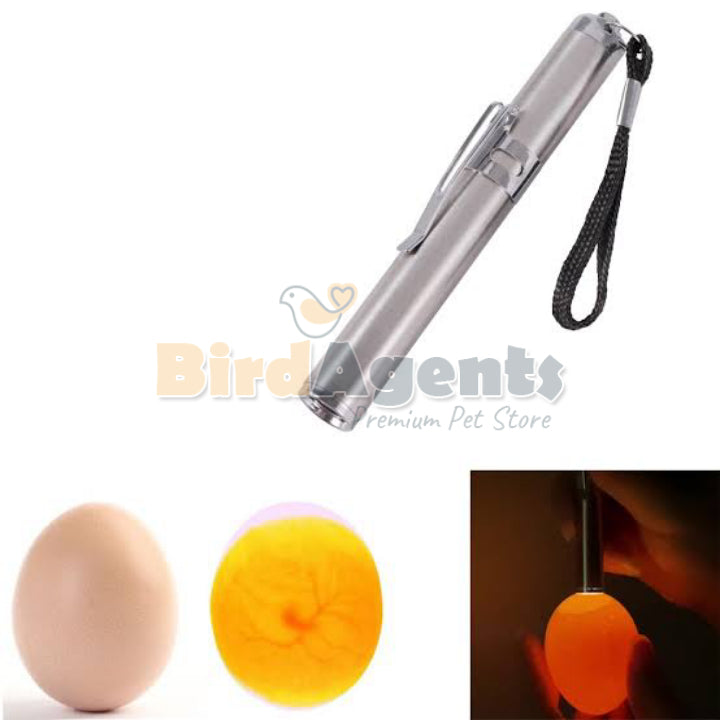 Egg Candling Pen Light - Super Bright LED Light