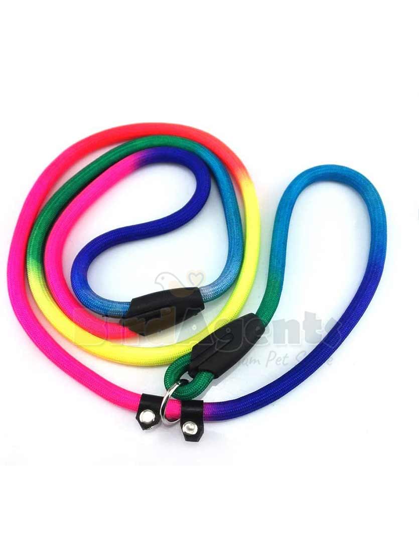 Pet Leash Multi Color